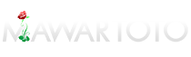 ZOROTOTO